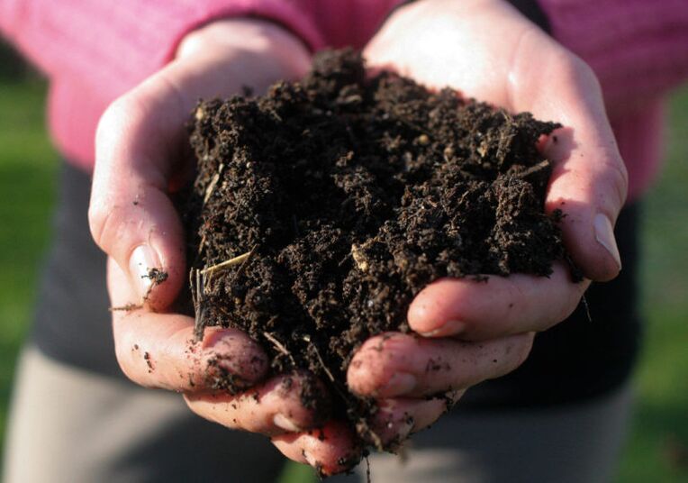 soil manipulation as a cause of parasitic infestation