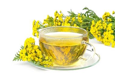 decoction of tansy to eliminate parasites