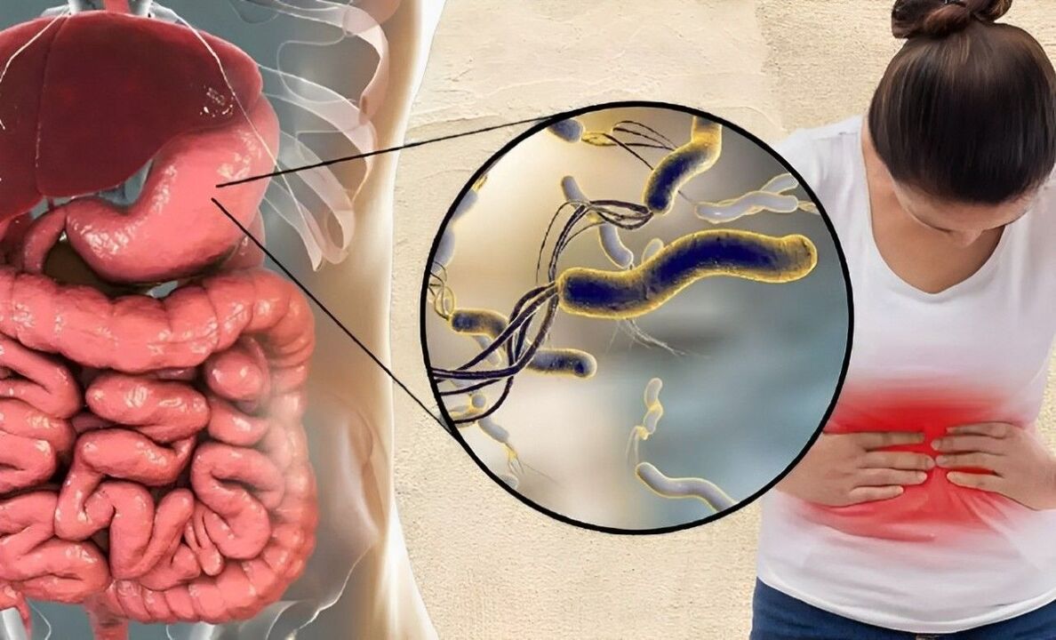 how worms enter the body