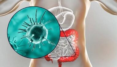 which tests to perform for the presence of parasites