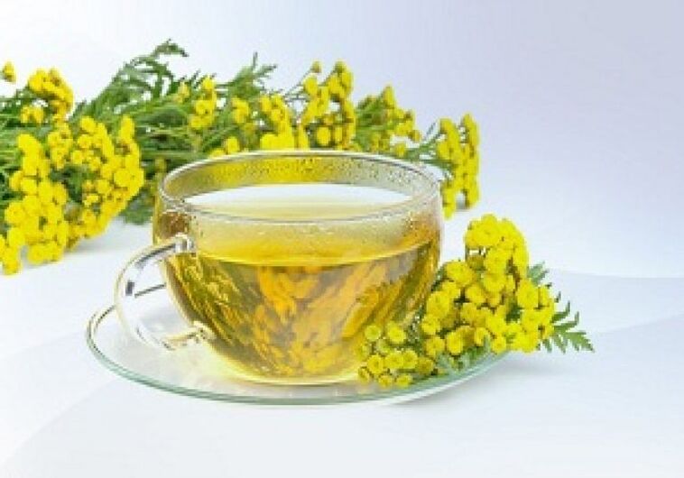 Tansy infusion will help get rid of parasites in the body