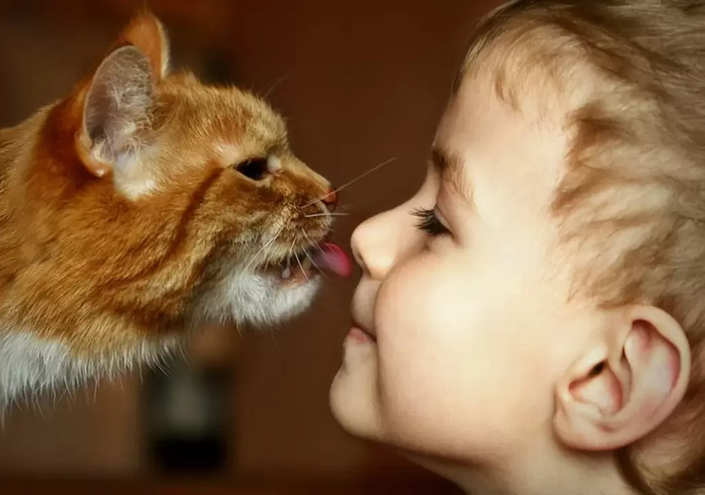 a boy kisses a cat and becomes infected with worms
